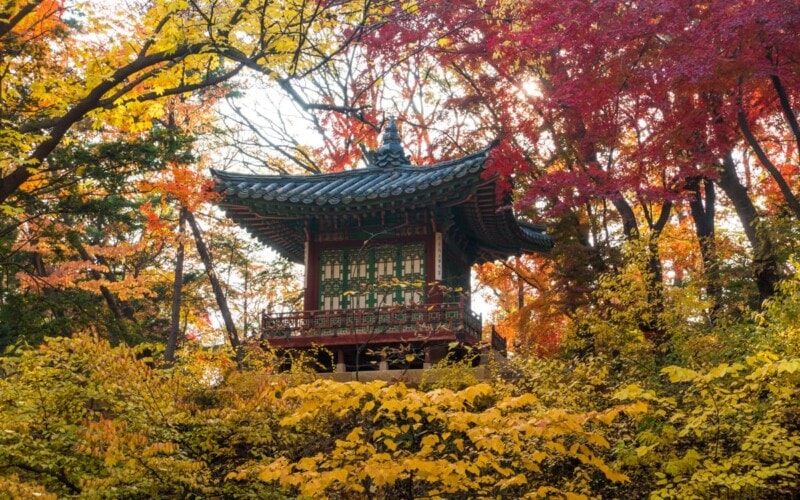 Huwon Secret Garden - The Seoul Guide