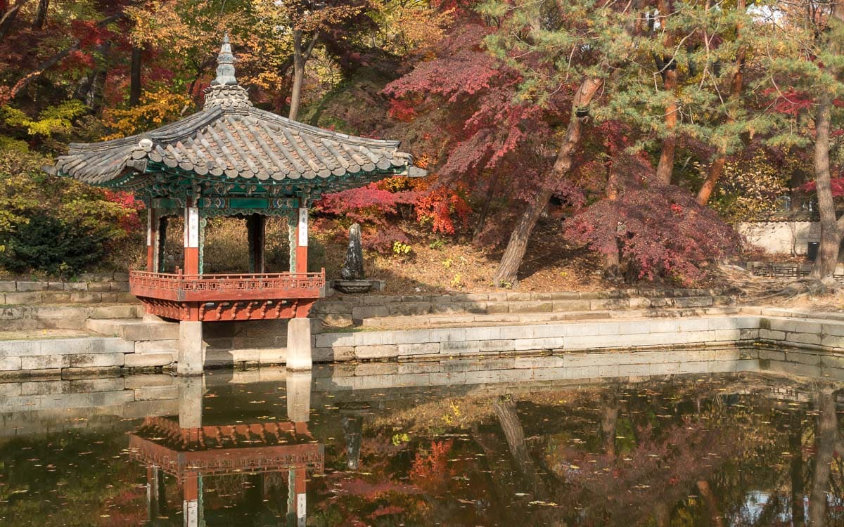 Fall foliage in autumn