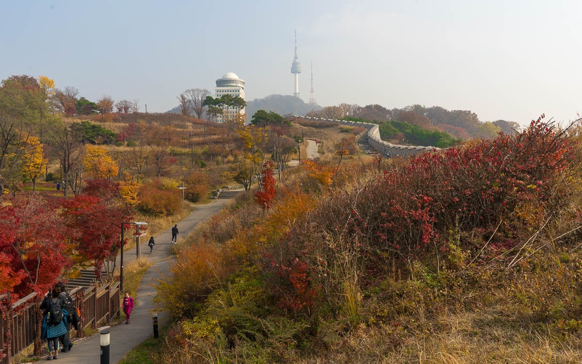 Autumn foliage at Namsan Park in Seoul, South Korea