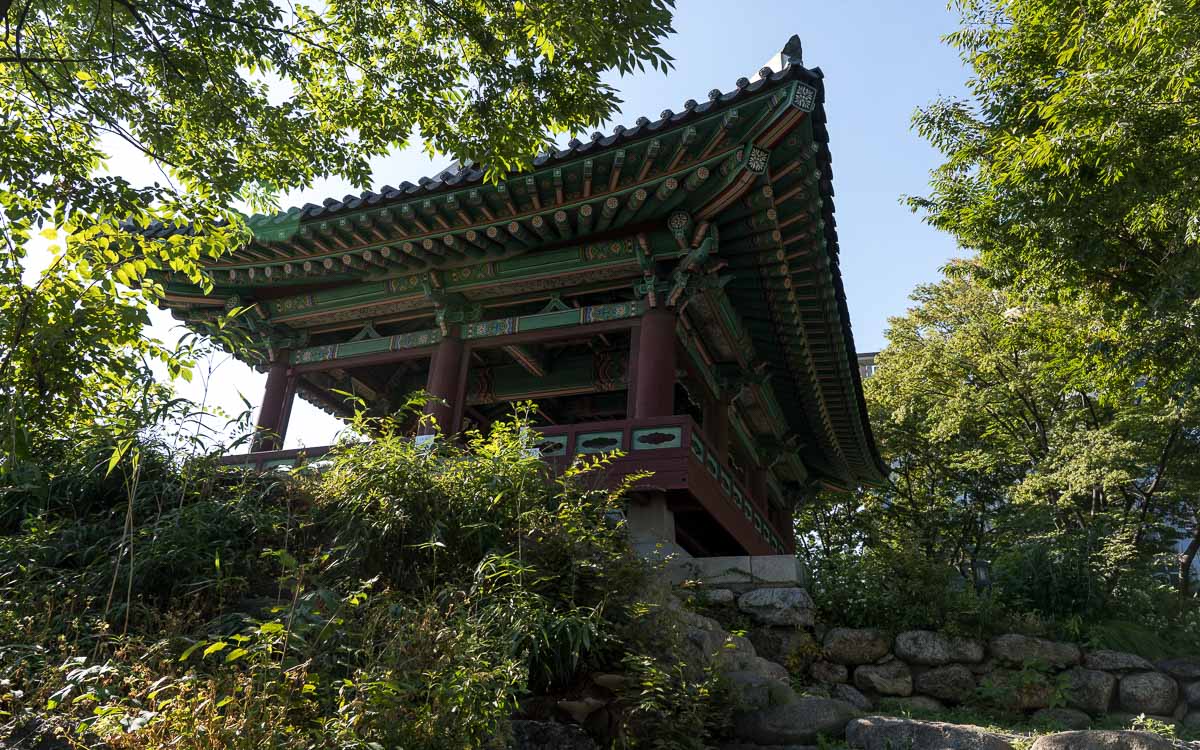 The pavilion surrounded by nature